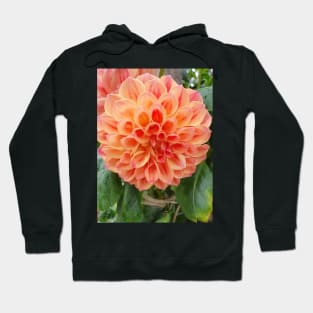 Orange and Red Dahlia Hoodie